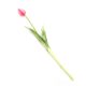 Gumi Tulipán szálas 39 cm - Pink