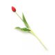Gumi Tulipán szálas 39 cm - Piros