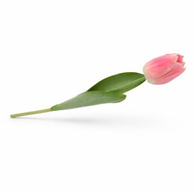   Prémium 56 cm-es rózsaszín műtulipán – vastag, stabil szilikon gumi dekor virág lakásba és rendezvényekre