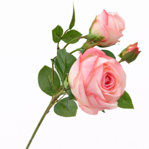 46 cm-es 3 Fejes Pasztell Rózsaszín Selyem Rózsa – Élethű Műrózsa Dekorációhoz