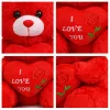 Plüss maci „I LOVE YOU” szívvel – piros plüss játék 21 cm, romantikus ajándék