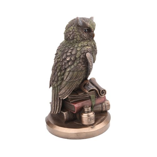 Fülesbagyoly könyvekkel - 23 cm