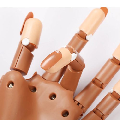 Profi Gyakorló Kéz Műkörömépítéshez + 100 darab pót köröm