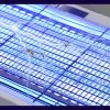 Elektromos rovarcsapda – 4W UV fénycsővel, lánccal felakasztható