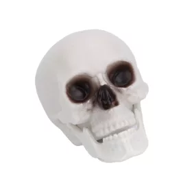Halloween dekor koponya – 12 cm, élethű koponya dísz