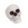 Halloween dekor koponya – 12 cm, élethű koponya dísz