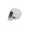 Halloween dekor koponya – 8 cm, élethű asztali dísz