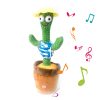 Vicces kaktusz tud Táncoló és Éneklő, elismétli amit mondasz neki - Mexikó