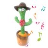 Vicces kaktusz tud Táncoló és Éneklő, elismétli amit mondasz neki - Mexikó