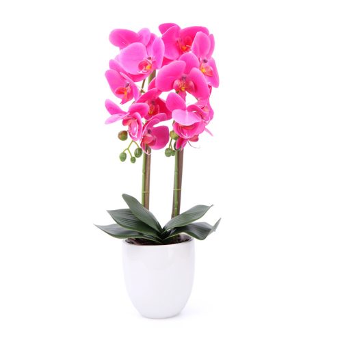 Mű Orchidea kerámia kaspóban 2 szálas 50 cm - Pink