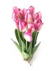 Tulipán csokor élethű növény, 12 szálas – Rózsaszín