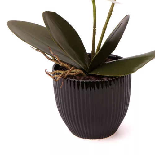 Mű Orchidea 2 szálasz kerámia virágtartóban 52 cm - fehér