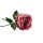 Vintage-rózsaszínű rózsa 52 cm művirág