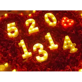   LED Dekoráció Betűk Ábécé Száma Lámpa 22 cm - 3 szám
